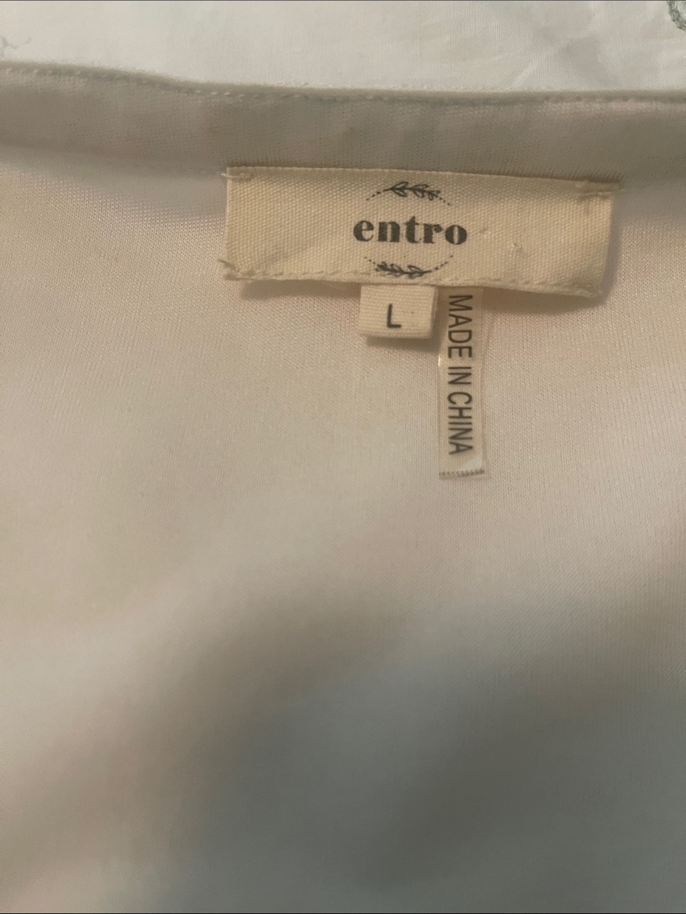 entro Cream Dress with Blue Embroidery - Picture 2 of 7
